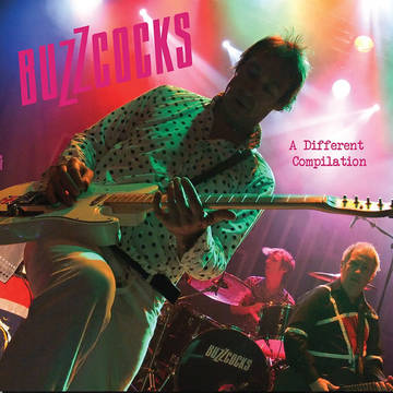 Buzzcocks - Different Compilation LP RSD