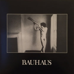 Bauhaus - In the Flat Field LP