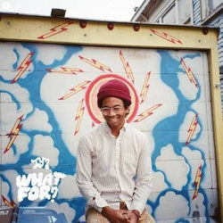 Toro Y Moi - What For? LP