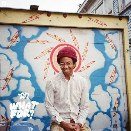 Toro Y Moi - What For? LP