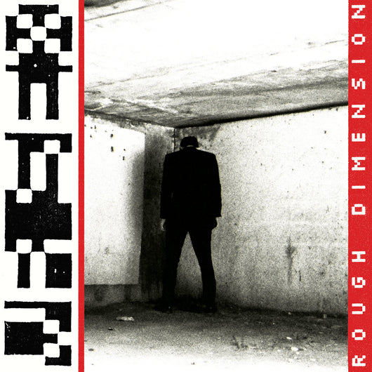 V.R. Sex - Rough Dimension LP