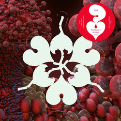 Bjork - Fossora Remixes RSD LP